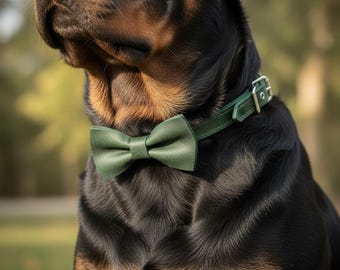 Green Leather Dog Collar and Leash Set with Bow Tie, Wedding Dog Outfit