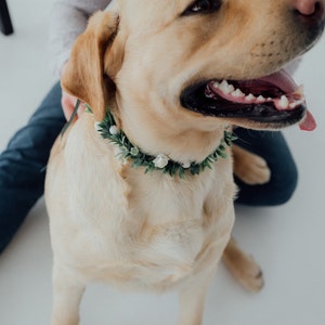 Dog ring bearer Wedding dog flower crown Dog wedding attire image 9