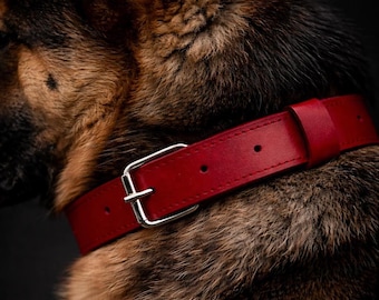 Conjunto de collar y correa de cuero rojo para perro, collar hecho a mano, accesorios para mascotas, regalo para amantes de los perros.