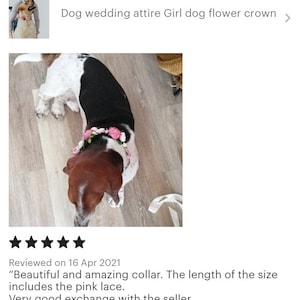 Tenue de mariage pour chien Couronne de fleurs pour chien fille image 3