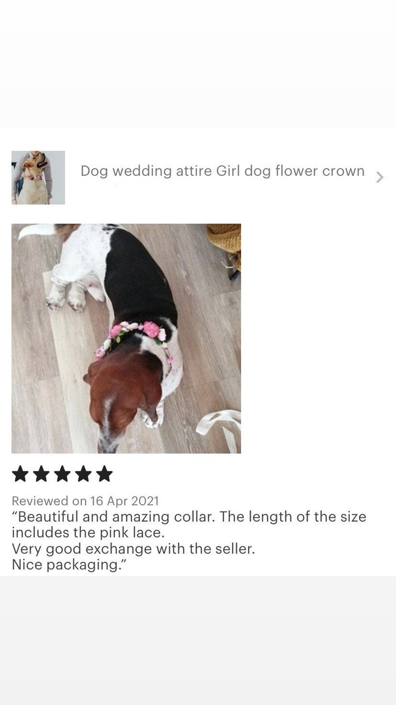 Tenue de mariage pour chien Couronne de fleurs pour chien fille image 3