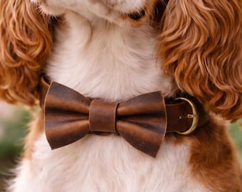 Brązowy skórzany zestaw: obroża dla psa i muszka, rustykalne akcesoria dla zwierząt