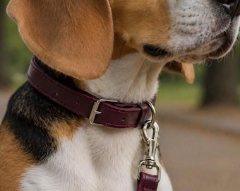 Collar para perro color granate y correa de cuero, accesorios para mascotas, correa y collar duraderos color burdeos.