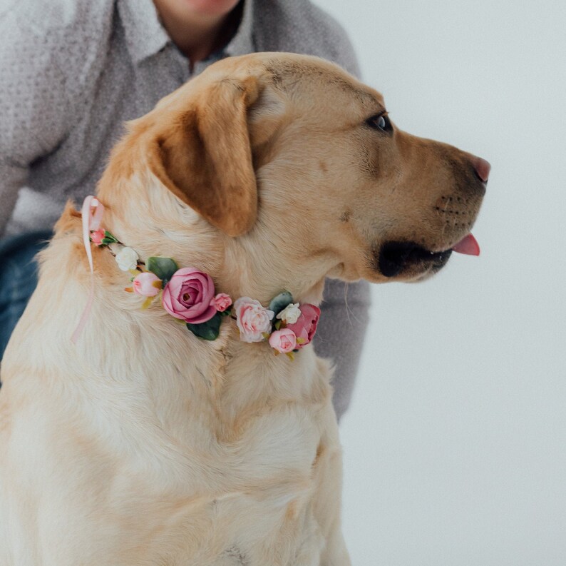 Tenue de mariage pour chien Couronne de fleurs pour chien fille image 4