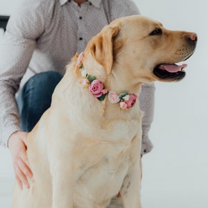 Tenue de mariage pour chien Couronne de fleurs pour chien fille image 7