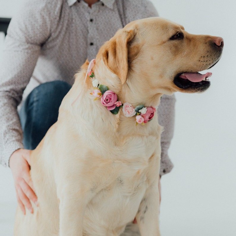 Tenue de mariage pour chien Couronne de fleurs pour chien fille image 7