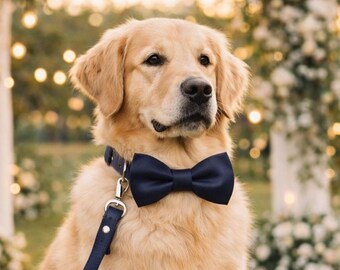 Conjunto de collar de cuero para perro con pajarita, regalo elegante para amantes de los perros, atuendo sofisticado para momentos especiales.