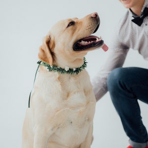 Dog ring bearer Wedding dog flower crown Dog wedding attire image 4