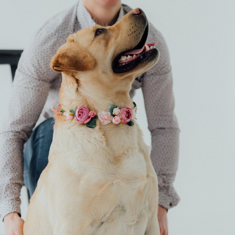 Tenue de mariage pour chien Couronne de fleurs pour chien fille image 1