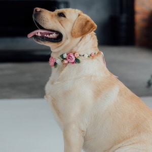 Tenue de mariage pour chien Couronne de fleurs pour chien fille image 6