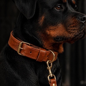Leather Dog Collar & Leash Set, Cognac Dog Collar for Large and Small Dogs, Dog Accessory