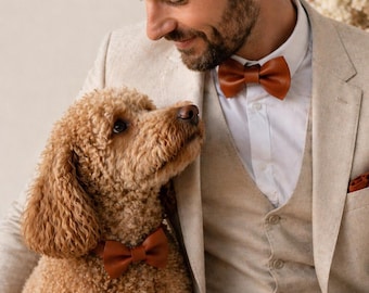Conjunto de coleira e guia para cães em couro cor conhaque, gravata borboleta marrom em couro para cães, conjunto combinando para dono e cão