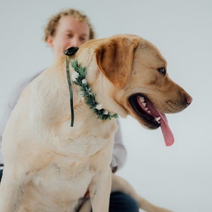 Dog ring bearer Wedding dog flower crown Dog wedding attire image 8