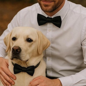 May include: A person in a white shirt and black bow tie is holding a yellow Labrador. The dog wears a black bow tie collar. A matching black bow tie is also worn by the person.