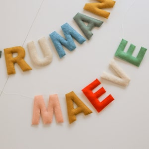 Felt Letter Name Banner - SMALL, Custom Name Garland, Stuffed Name Sign, Baby Name Banner