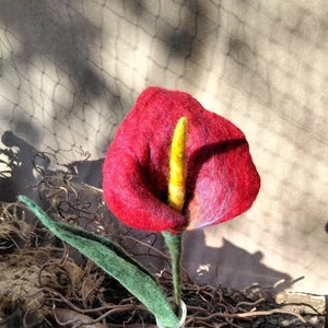 Calla, Calla lily, Zantedeschia, felted, handmade, home decoration