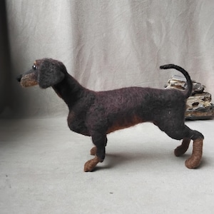 Könnte beinhalten: Eine nadelgefilzte Skulptur eines Dackels mit dunkelbraunem und schwarzem Fell, hellbraunen Abzeichen an Schnauze und Unterbeinen, Schlappohren und einem dünnen, nach oben gebogenen Schwanz, stehend in einer Seitenansicht mit aufmerksamem Blick.