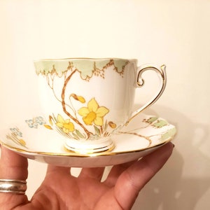 &quot;Vintage Roslyn Fine China Teetassen-Set &quot;&quot;Springtime&quot;&quot; .&quot;