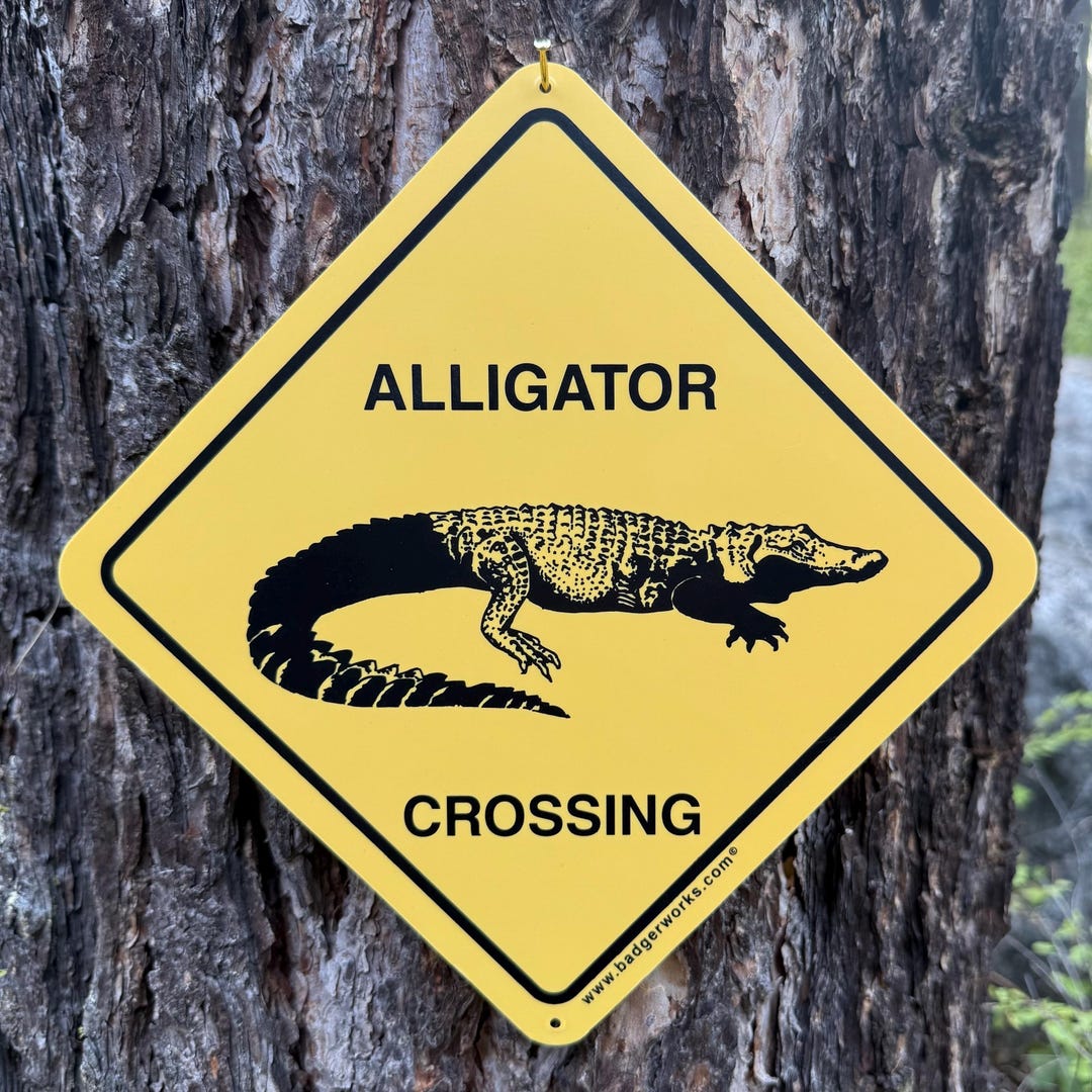 ALLIGATOR Crossing Sign (small 7.5 X 7.5) by Badgerworkssigns - Etsy