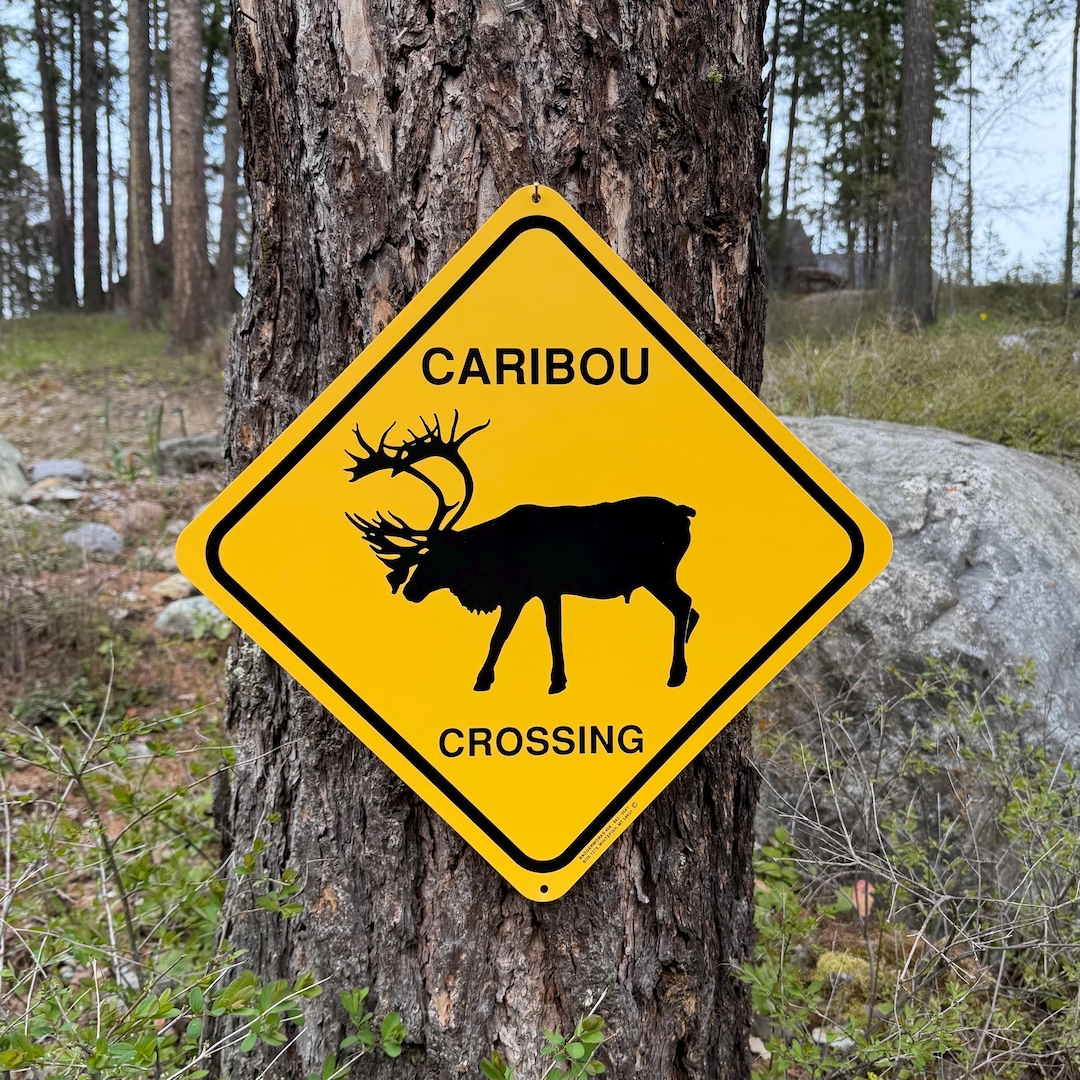 CARIBOU CROSSING Sign (large 15 X 15) by Badgerworkssigns - Etsy