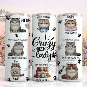 Funny Cat Tumbler Wrap PNG, Sarcastic Cat 20 oz Skinny Tumbler Sublimation Design Instant Digital Download Only, Crazy Cat Lady Tumbler Wrap
