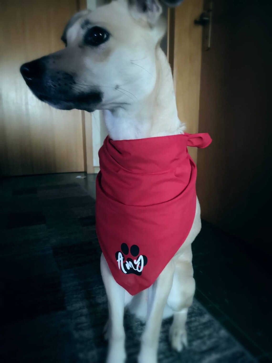 Halstuch mit Namen Hund Etsy
