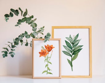 Botanical watercolour flower art Print