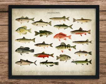 Vintage Fishing Guide Illustrated Poster FISH PRINT