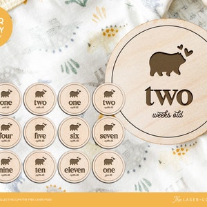 Bear Baby Milestones tekent laserbestanden voor lasersnijders