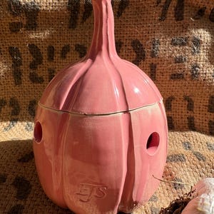 May include: A glossy pink ceramic garlic keeper shaped like a bulb of garlic with a removable lid and ventilation holes on the sides. The surface features a subtle embossed EJS logo on the front. The container has a smooth, reflective finish.