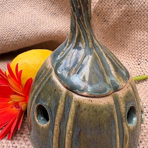 May include: A handmade ceramic garlic keeper with a green and brown glaze. The garlic keeper has a bulbous body with three holes and a tall, textured neck. A red and yellow flower and a lemon are next to the garlic keeper.