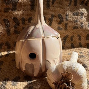 May include: A ceramic garlic keeper shaped like a bulb of garlic with a glossy, multi-toned beige and mauve glaze. The container features a small circular ventilation hole on the side and a removable lid. A fresh bulb of white garlic sits nearby.