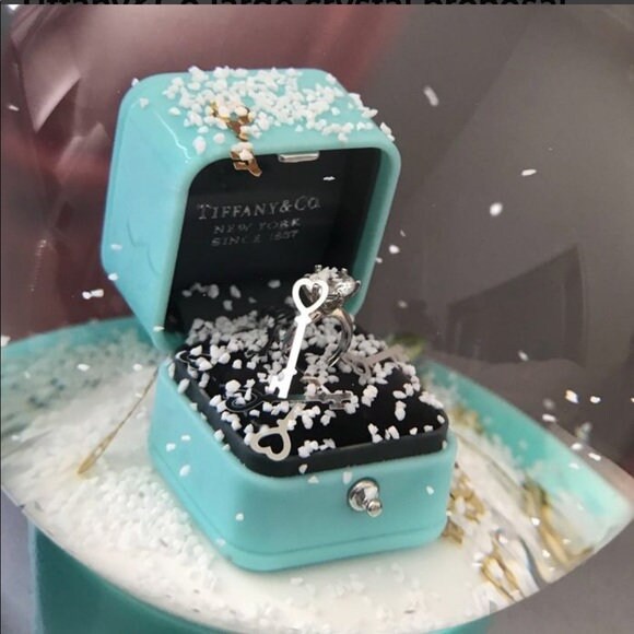 Tiffany & Co. Snow Globe, Kunst