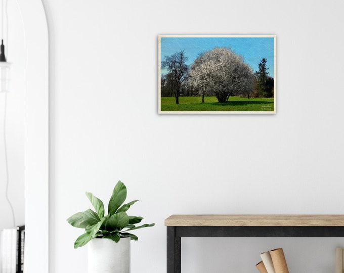 Wooden Print / wall decor  16x24"- Apple Blossom - Spreewaldliebe