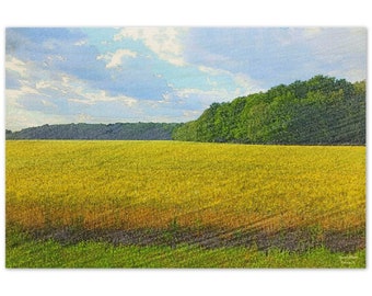 Canvas / wood print 20"x30" - Rapsfeld - Spreewaldliebe