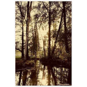 Wood prints / wall decoration - Birkenufer - Spreewaldliebe
