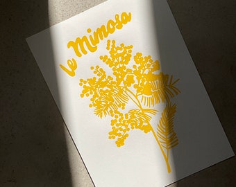 LE MIMOSA