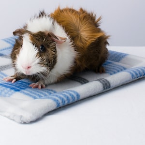 Guinea Pig Liner | Leakproof | Multiple sizes: 12x12 | 14x14 | 14x28 | 28x28