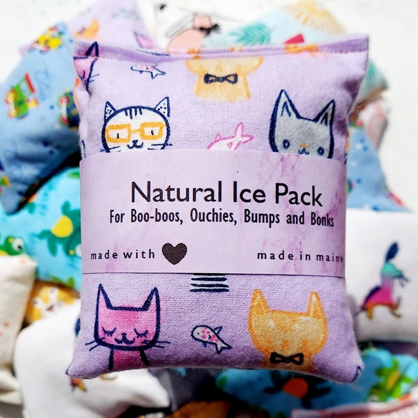 Kids Freezer Pack - Boo Boo Pack - Natural Ice Pack - Infant Toddler - Unicorn Bunny Dinosaur Frog Cat Lion Train Rainbow - Made in Maine