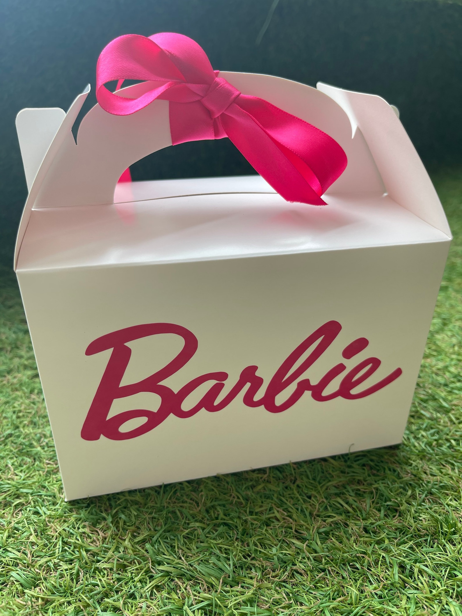 Barbie Party Box Barbie Birthday Box Barbie Party Bag Barbie Etsy