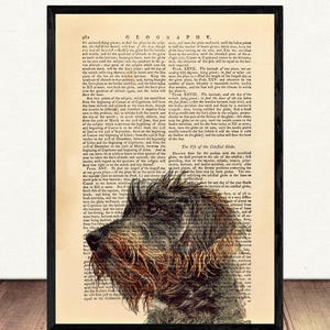 Pode incluir: Uma impressão emoldurada com uma ilustração detalhada da cabeça de um cão, em um fundo de páginas de livros antigos. O cão tem uma pelagem espessa com tons de marrom, preto e cinza. A impressão está em uma moldura preta.