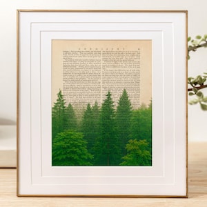 Puede incluir: Una impresión artística enmarcada con una escena de bosque. La obra de arte está sobre un fondo de páginas de libros antiguos, con un marco dorado y un passe-partout blanco. El bosque está representado en tonos verdes.