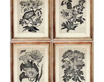 Set of 4 Prints, Black and White Botanical Prints, Vintage Flower Dictionary Book Pages, Antique Floral Wall Decor