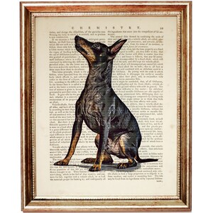 May include: A black and tan dog with short, smooth fur sits on a page from an old book. The dog is looking up and to the right. The book page has text about chemistry.