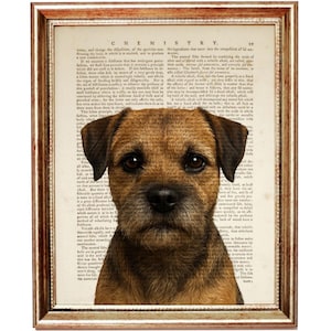 May include: A framed print featuring a Border Terrier dog. The dog is brown and tan with dark eyes, set against a backdrop of aged book pages. The frame is a warm, golden color, adding to the vintage aesthetic.