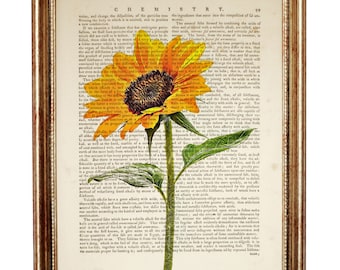 Bright Sunflower Dictionary Art Print, Vintage Botanical Antique Book Page, Floral Home Wall Decor, Sunflower Lover Gift