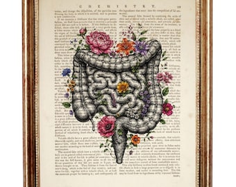 Lámina artística del Diccionario de los Intestinos Humanos, Arte mural de anatomía floral, Póster médico, Decoración de página de libro vintage