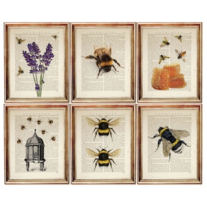 Set of 6 Prints, Bumble Bee Wall Hanging,  Bee Wall Decor, Bumblebee Art Print, Honey Bee Nursery Wall Art, Lavender Poster
