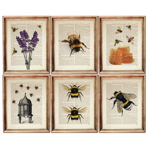 May include: Set of six vintage-style prints featuring bees and honeycombs. The prints are in black and white with a sepia tone and have a distressed look. The prints are framed in gold.
