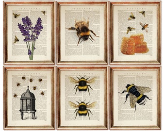 Set of 6 Prints, Bumble Bee Wall Hanging,  Bee Wall Decor, Bumblebee Art Print, Honey Bee Nursery Wall Art, Lavender Poster